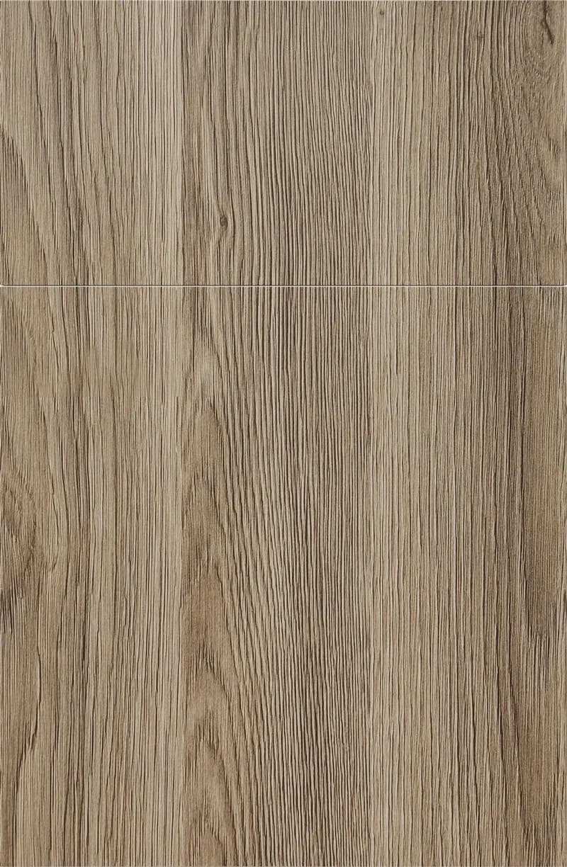 Yellow Birch