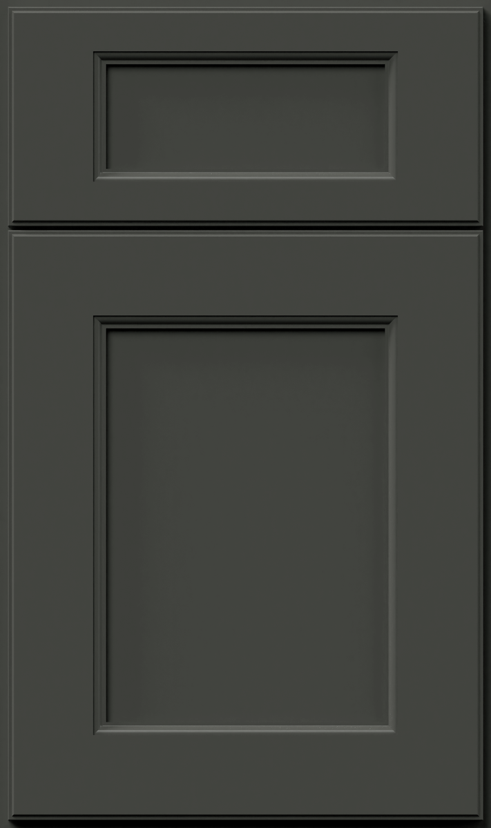 Fusion Graphite Black gray kitchen cabinet - Transitional